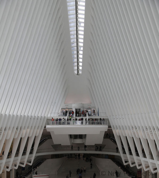 Oculus - World Trade Center Station